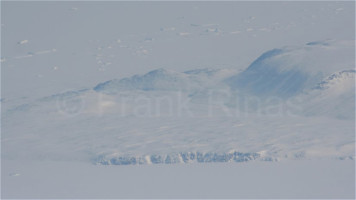 Groenland-Aerial2010 (26)