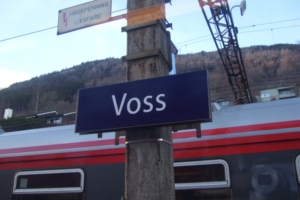 102-Voss2008