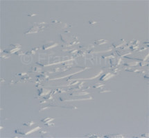 Groenland-Aerial2010 (15)