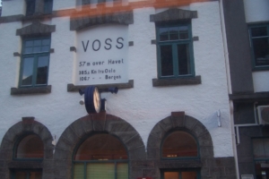 103-Voss2008